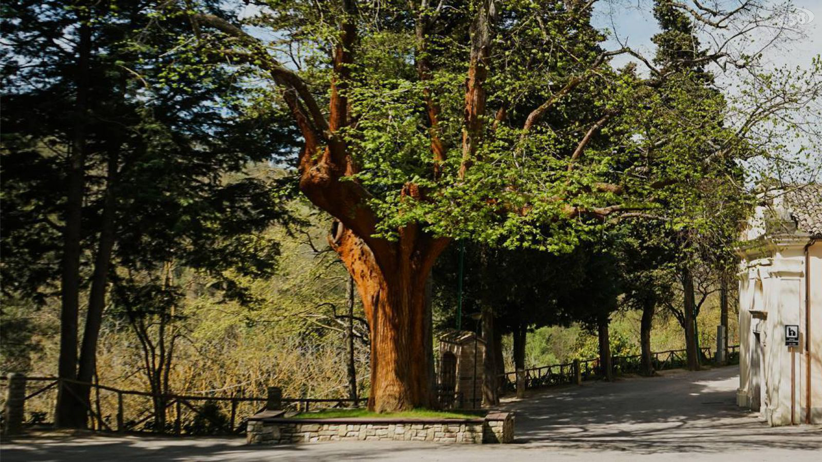 valleluogo