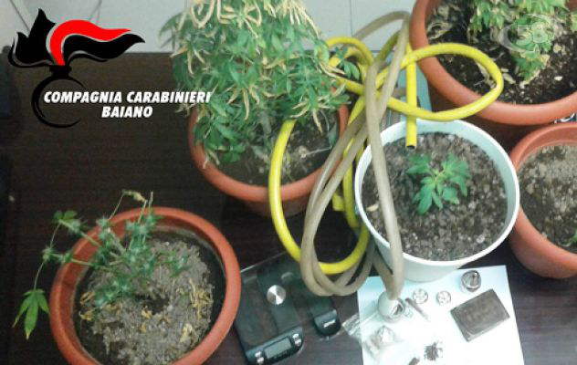 Bagno adibito a serra per coltivare marijuana: beccato