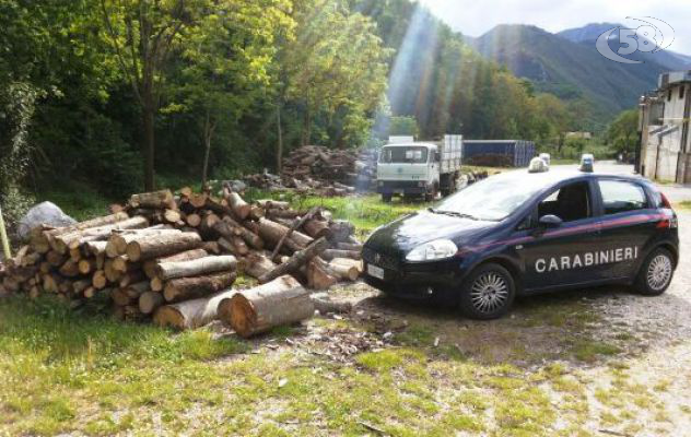 Sorpresi ad abbattere alberi, denunciate tre persone di Lioni