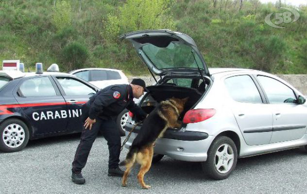 Paternopoli, 20 grammi di hashish in casa: segnalato 27enne