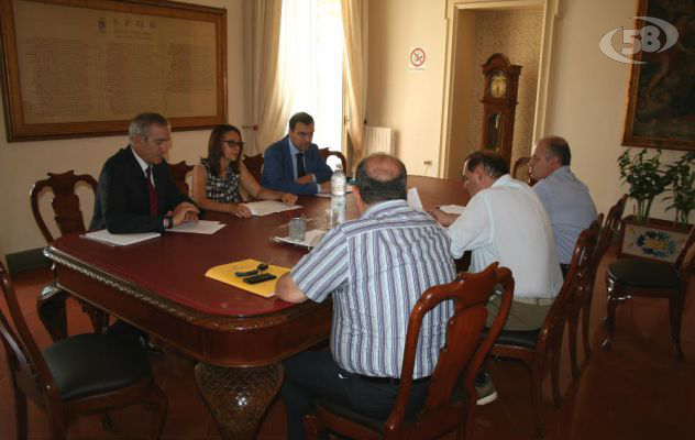 Elettrodotto Terna, Mastella incontra i vertici: attenzione alla salute dei cittadini