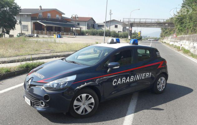 Pianta di cannabis alta un metro e mezzo: 35enne nei guai