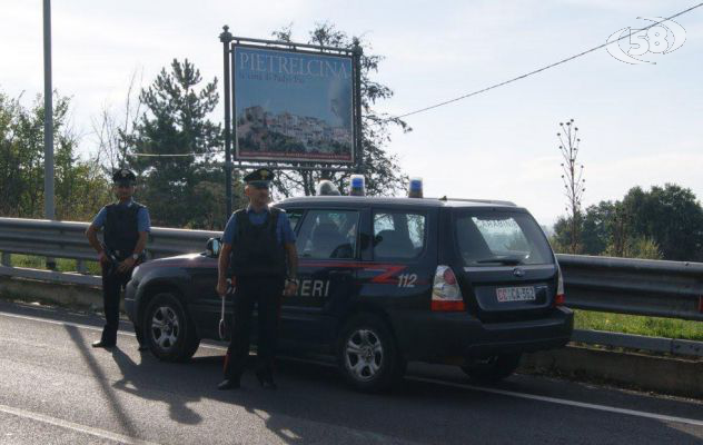 Pietrelcina - Abitazione lager, liberati 50 cani e gatti