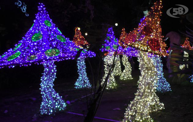 Luci d'Artista, Salerno capitale del Natale: boom di turisti /VIDEO