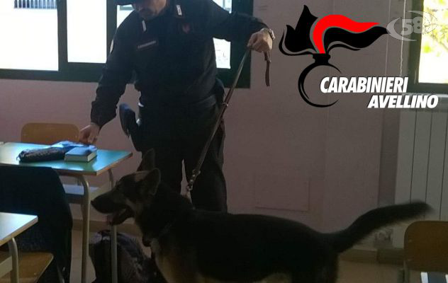 Cani e carabinieri a scuola in cerca di droga