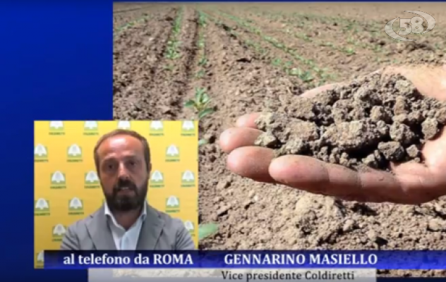 Siccità, è allarme. Masiello: "Servono infrastrutture che trattengano l'acqua"