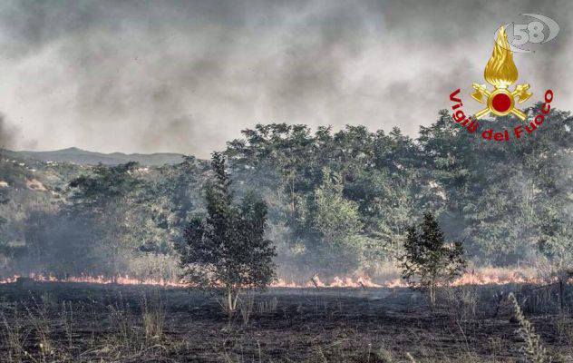 Incendi, D'Eliseo: ''In Irpinia non risultano roghi dolosi''. S'indaga
