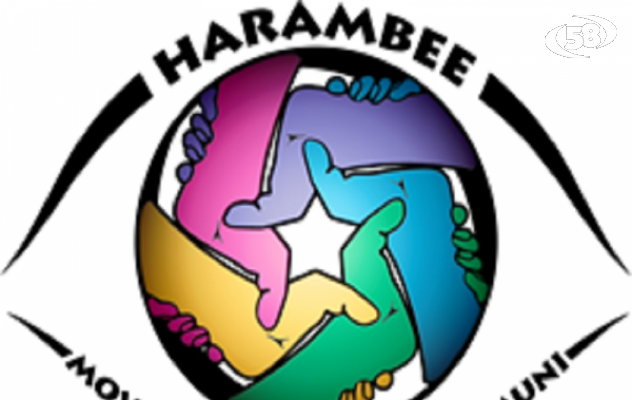 Migranti sul Tricolle, Harambee: ''Da alcuni arianesi commenti incivili e inaccettabili''