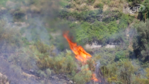 Prevenzione del rischio di incendi boschivi, c'è l'ordinanza. Ecco i divieti