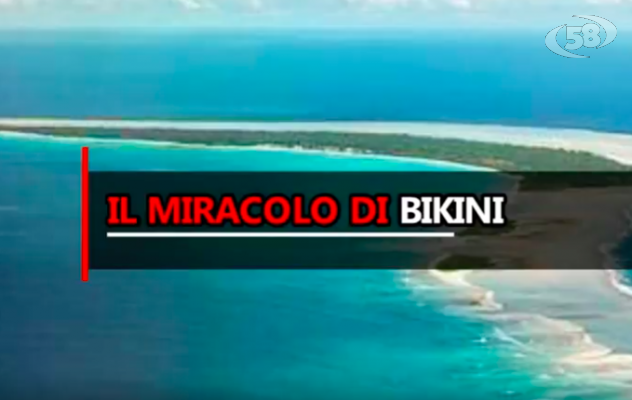 Bikini, nell'atollo della morte tornano a vivere pesci, coralli e tonni 