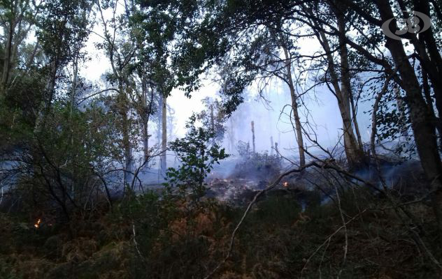 Incendi senza fine: inferno Calaggio, case evacuate /VIDEO