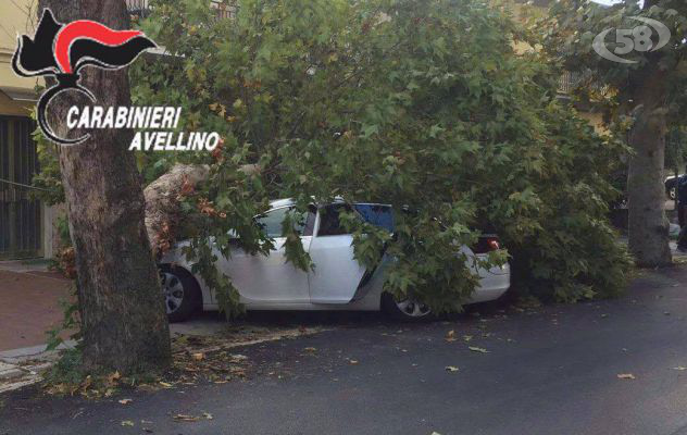 Grotta: albero cade su auto, a bordo ci sono mamma e figlio