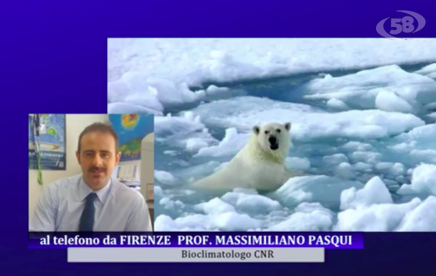 '''Salviamo il pianeta'', l'appello degli scienziati di tutto il mondo: ''Bisogna fare presto''