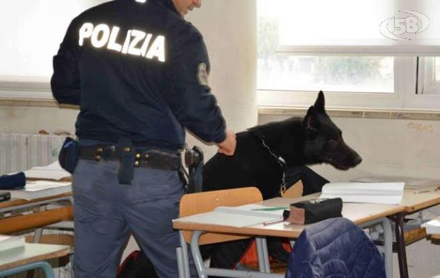 Droga tra i banchi di scuola: hashish e marijuana