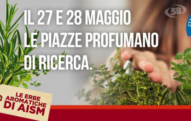 Erbe aromatiche AISM, il Forum dei Giovani in campo ad Ariano Irpino