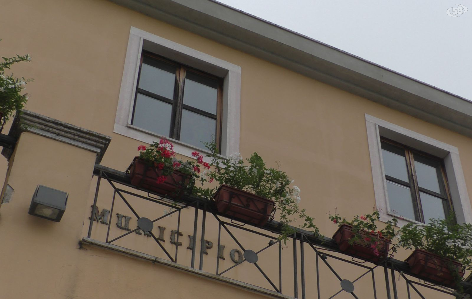 Cinghiali ad Ariano, l’Amministrazione ottiene dalla Regione l’ampliamento del piano di controllo