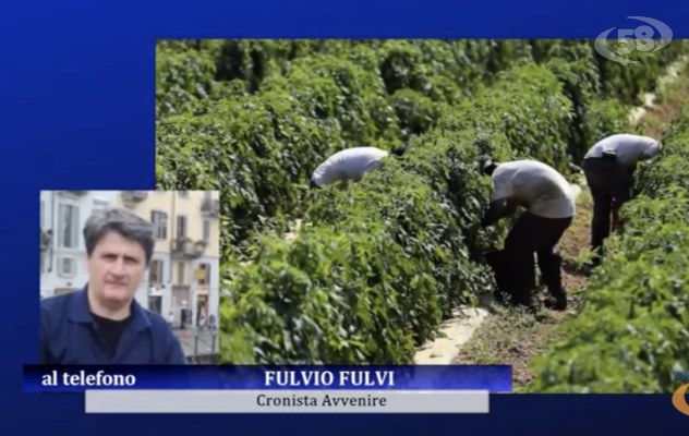Caporalato, una piaga del Sud: cosa insegna l'ennesima strage dei braccianti?