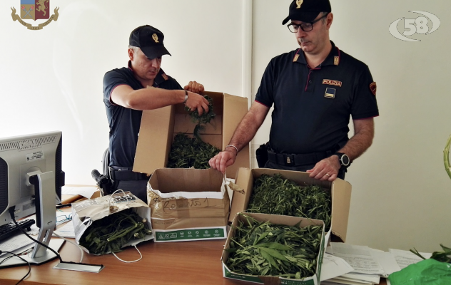 Coniugi litigano, la Polizia trova 5 chili di marijuana