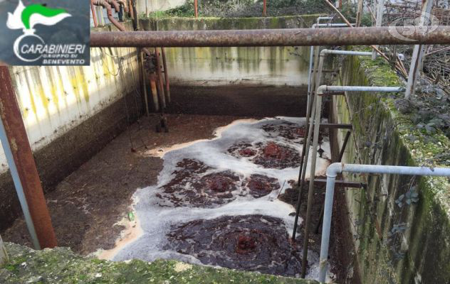 Fiume Calore si tinge di rosso, sequestrato mattatoio abusivo