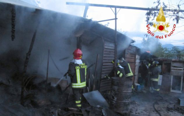 Capriglia, a fuoco un deposito agricolo. Morti 5 animali 