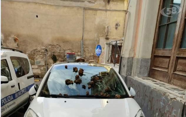 Lascia l’auto in divieto di sosta e viene ricoperta da sterco di animale