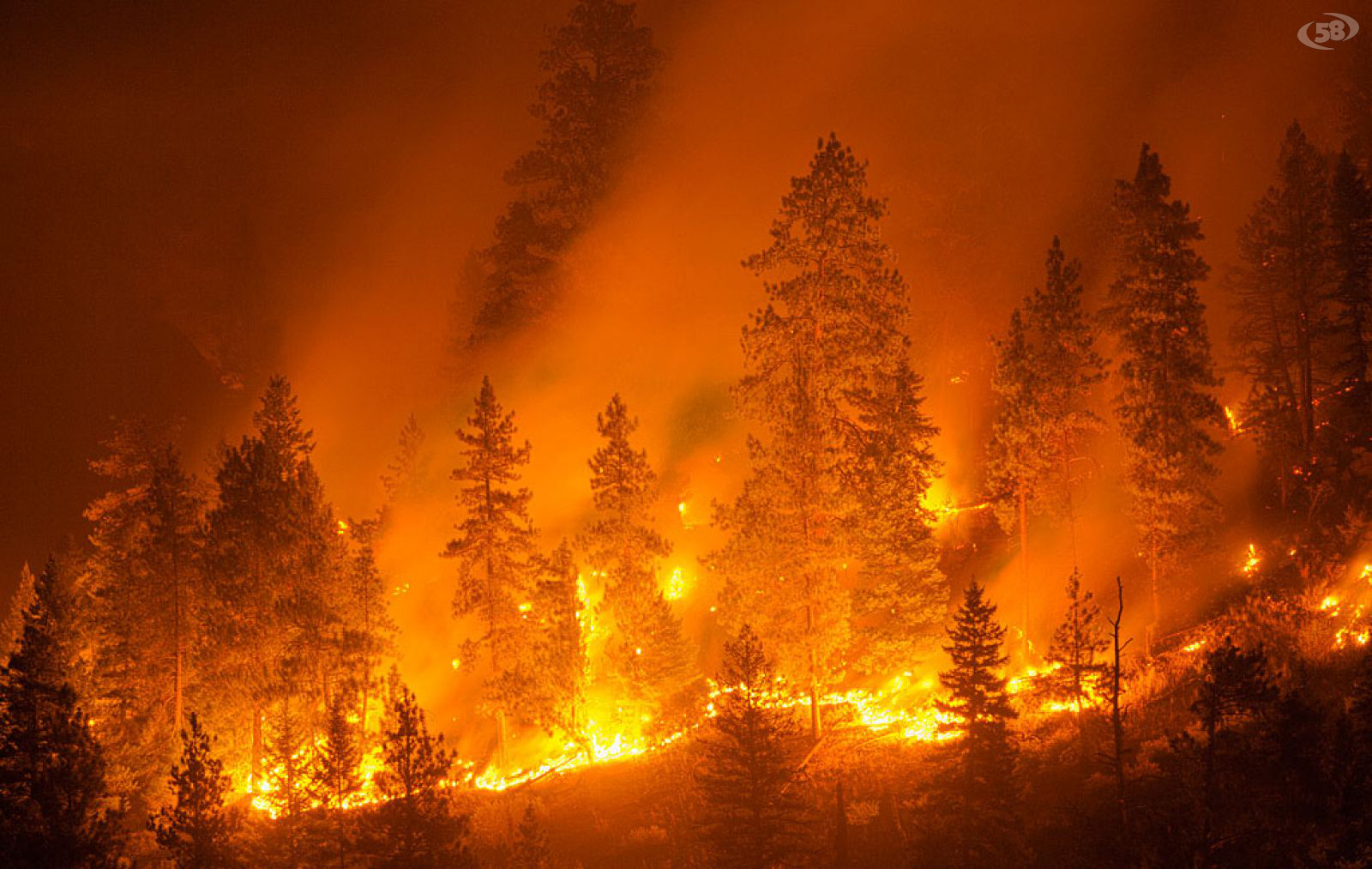 Task force contro gli incendi boschivi: vertice in Prefettura