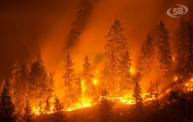 Task force contro gli incendi boschivi: vertice in Prefettura