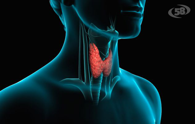 Terra dei fuochi e patologie della tiroide ai seminari di Biogem 