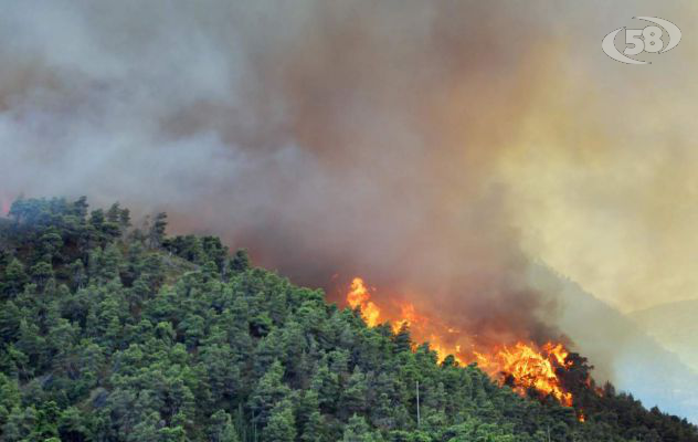 In due mesi 399 incendi boschivi in Campania