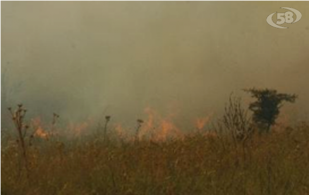 Tutela ambientale, chiesto nuovo regolamento per l'abbruciamento di residui agricoli