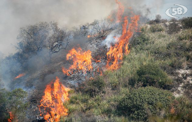 Prevenzione incendi boschivi, ad Ariano l'evento nazionale UNCEM