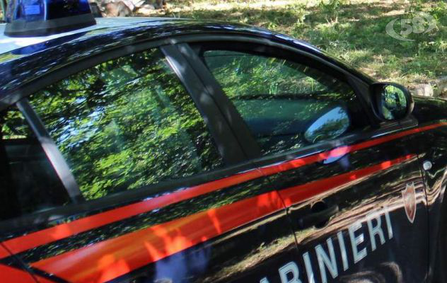 Abbruciamento di residui vegetali: Carabinieri denunciano un 40enne