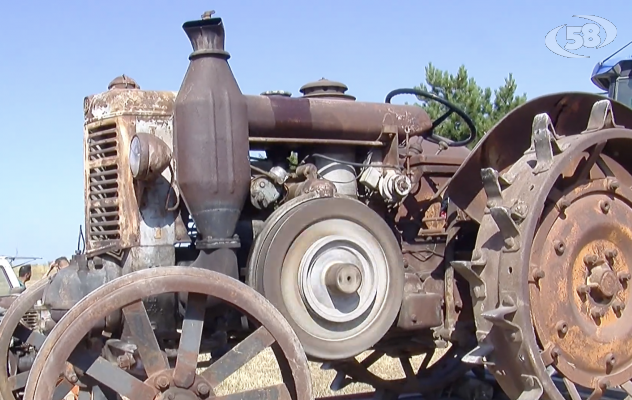 Ariano, al via la sesta edizione del "Raduno Trattori d'Epoca"