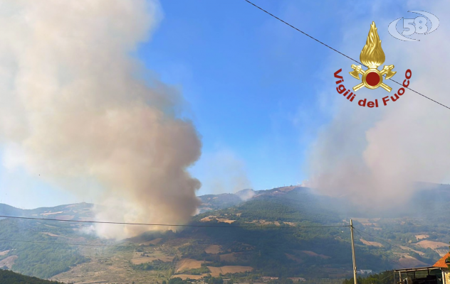 Emergenza incendi, trenta interventi dei Vigili del Fuoco