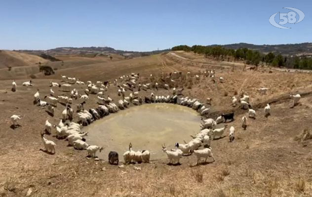 Crisi idrica, Coduti: "Conseguenze per le aree interne dell'Irpinia e del Sannio"