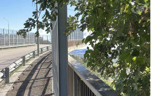 Si lancia dal ponte della Panoramica, muore 54enne di Grotta