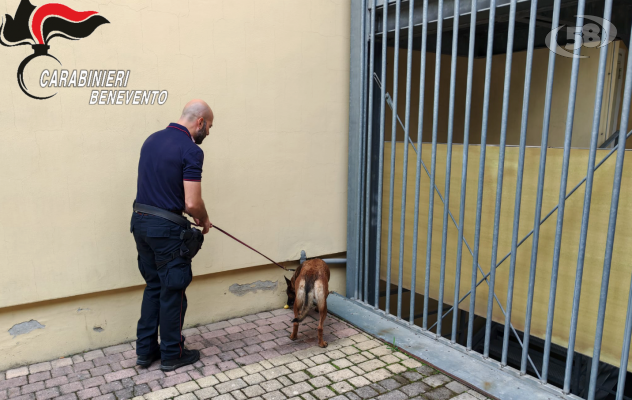 Controlli antidroga nelle scuole, 4 minori nei guai. Scovato anche un coltello in uno zaino