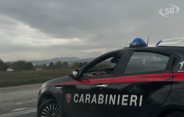 Carabinieri scoprono una piccola piantagione di canapa