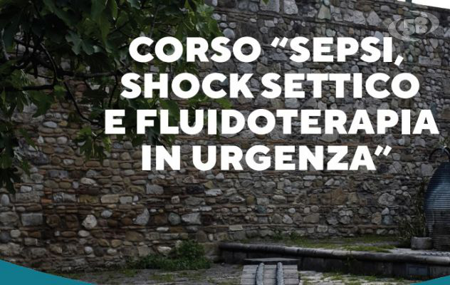 Sepsi, shock settico e fluidoterapia in urgenza, corso di formazione al San Pio 