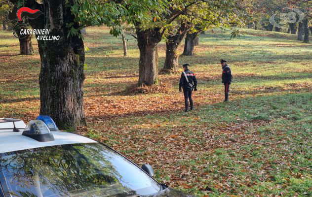 Controlli ambientali: i Carabinieri denunciano 7 persone 