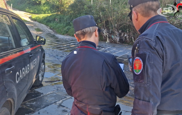 I carabinieri forestali sequestrano un opificio