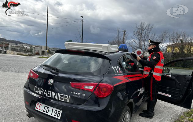 I Carabinieri sventano un furto in un’azienda