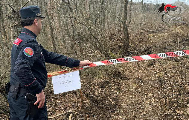 Trevico, distruzione di un bosco in area sottoposta a vincolo idrogeologico