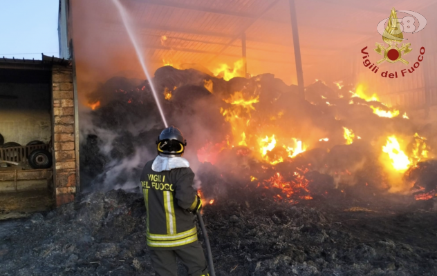 Capannoni in fiamme a Bisaccia, Vigili del Fuoco all'opera