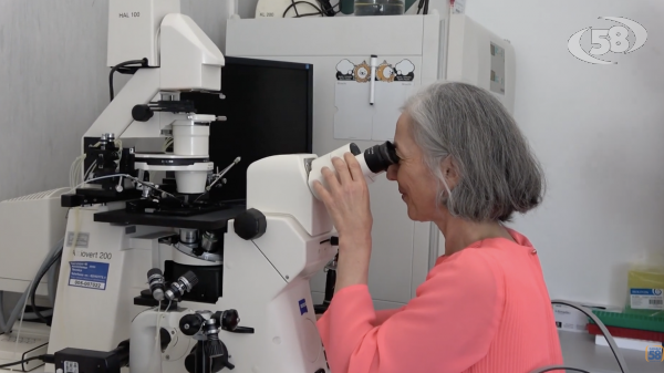 I progressi della medicina mitocondriale in un seminario a Biogem