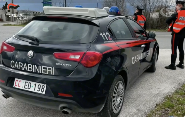 Rubano oltre 800 euro di superalcolici: due georgiani denunciati