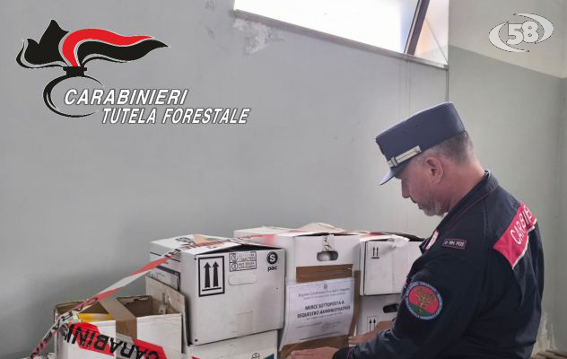 Fitofarmarci, blitz dei Carabinieri in un’azienda agricola: sequestro di oltre 400 chili di prodotti