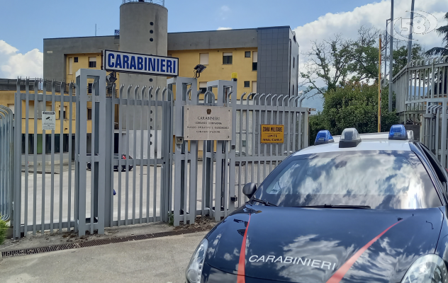 I Carabinieri accertano violazioni ambientali in un’azienda agricola