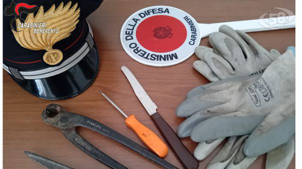 Danneggia la recinzione e ruba all'interno della proprietà, 19enne beccato e arrestato dai Carabinieri