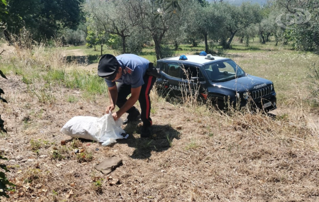 Fontanarosa, rinvenuti numerosi buoni postali asportati dall’abitazione di un anziano